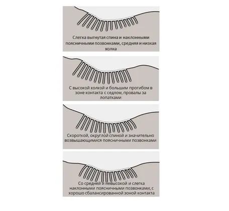 Определяем форму спины лошади