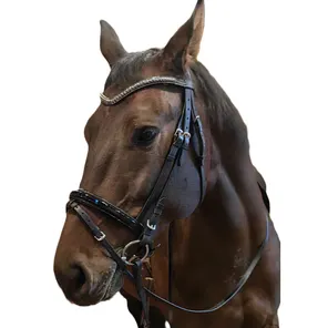 Уздечка с анатомическим затылком CD