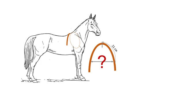 Измеряем размер по лошади